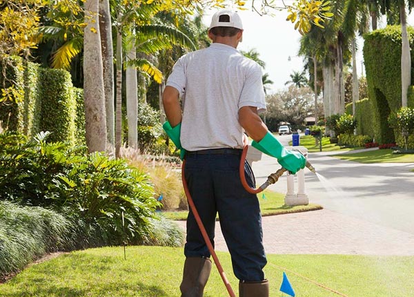 About Columbiaville NY Pest Control